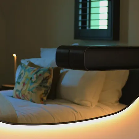 Les De La D'hiver Palissy Et Velleda Arcachon