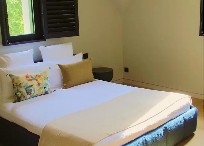 Les De La D'hiver Palissy Et Velleda Affittacamere Arcachon