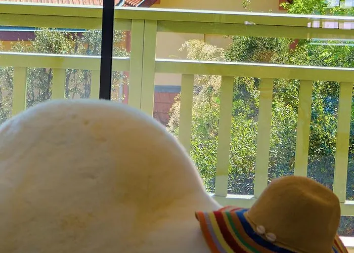 Les De La D'hiver Palissy Et Velleda Affittacamere Arcachon