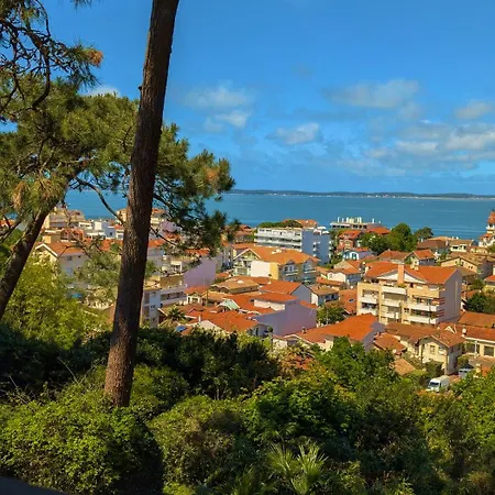 Les De La D'hiver Palissy Et Velleda