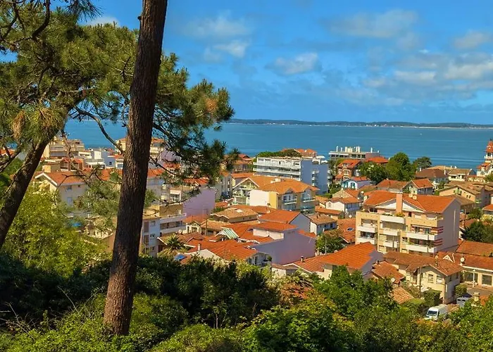 Les De La D'hiver Palissy Et Velleda